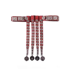 Deepeeka Roman Cingulum Mainz, Red